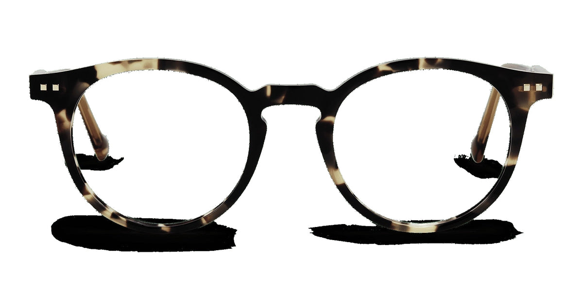 Brice 761 — Dark Tortoiseshell / Amber, front view