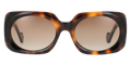 FAFA | E170 | FAFA-EI70-FACE.png