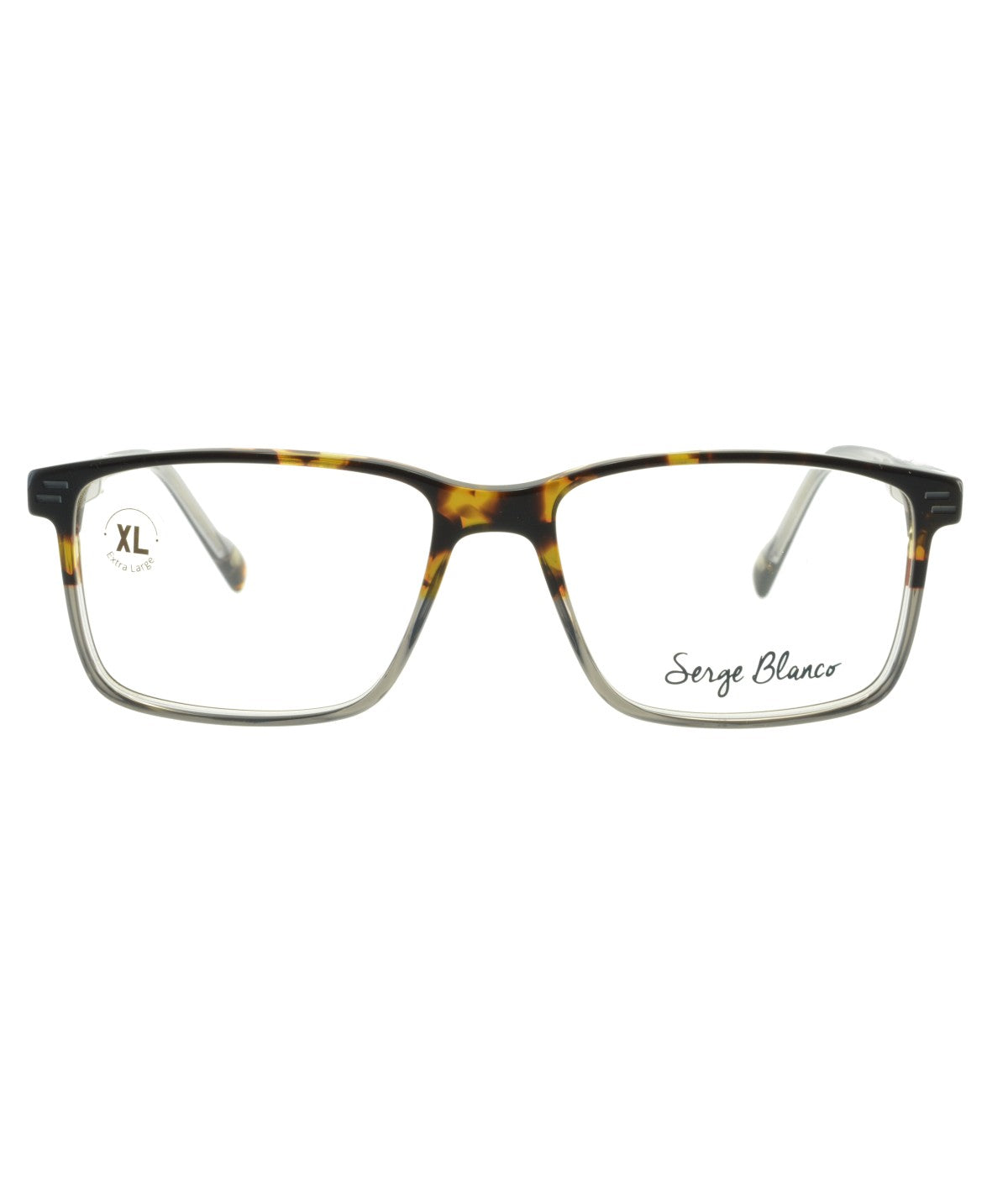 Serge Blanco BR332_2 — GREY / TORTOISE, front view